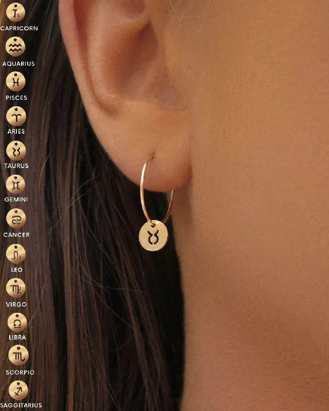 Customizable Earrings-Zodiac Hoop Earrings